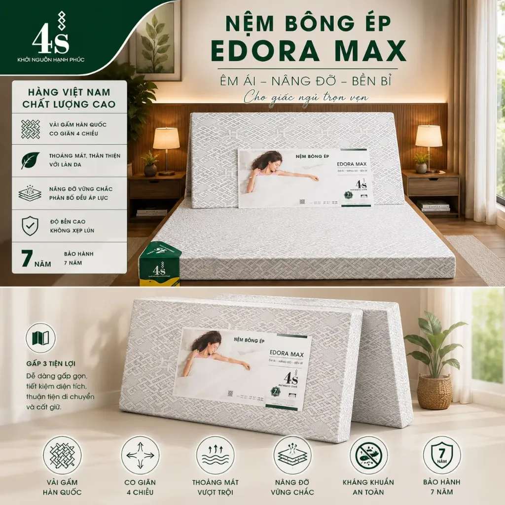 Nệm bông ép Edora Max