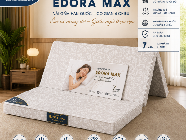 Nệm bông ép edora max co giãn 4 chiều Nệm bông ép EDORA MAX